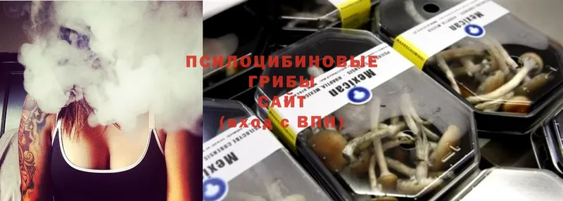 Псилоцибиновые грибы MAGIC MUSHROOMS  гидра tor  Полярный  купить закладку 